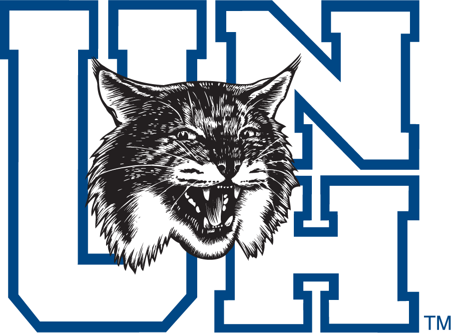 New Hampshire Wildcats 1993-2000 Alternate Logo t shirts iron on transfers